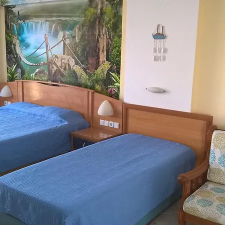 Haraki Beach Daire